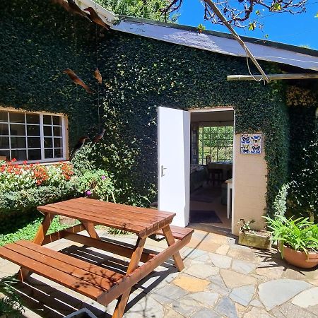 Yellowwood Cottage Himeville Bagian luar foto