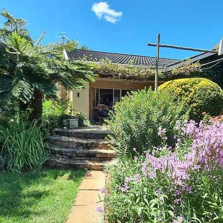 Yellowwood Cottage Himeville Bagian luar foto