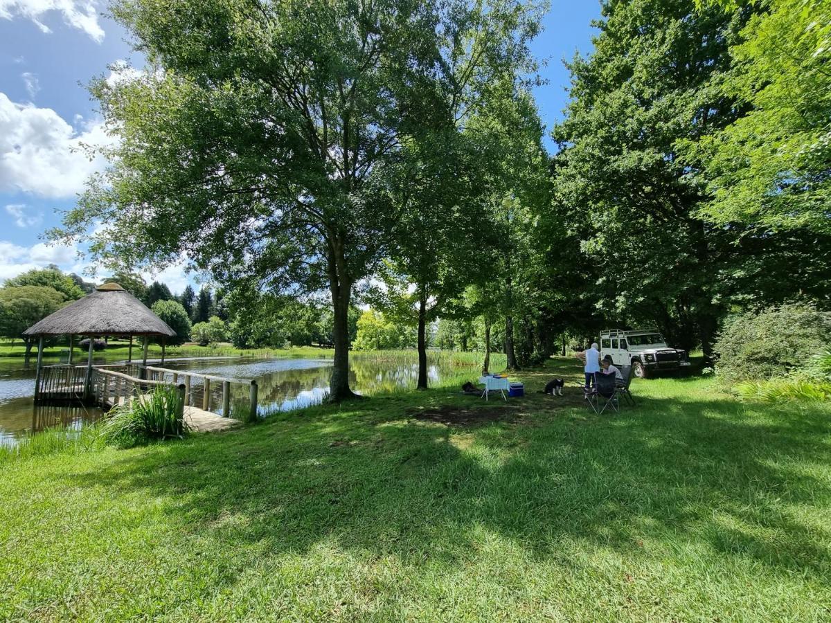 Yellowwood Cottage Himeville Bagian luar foto