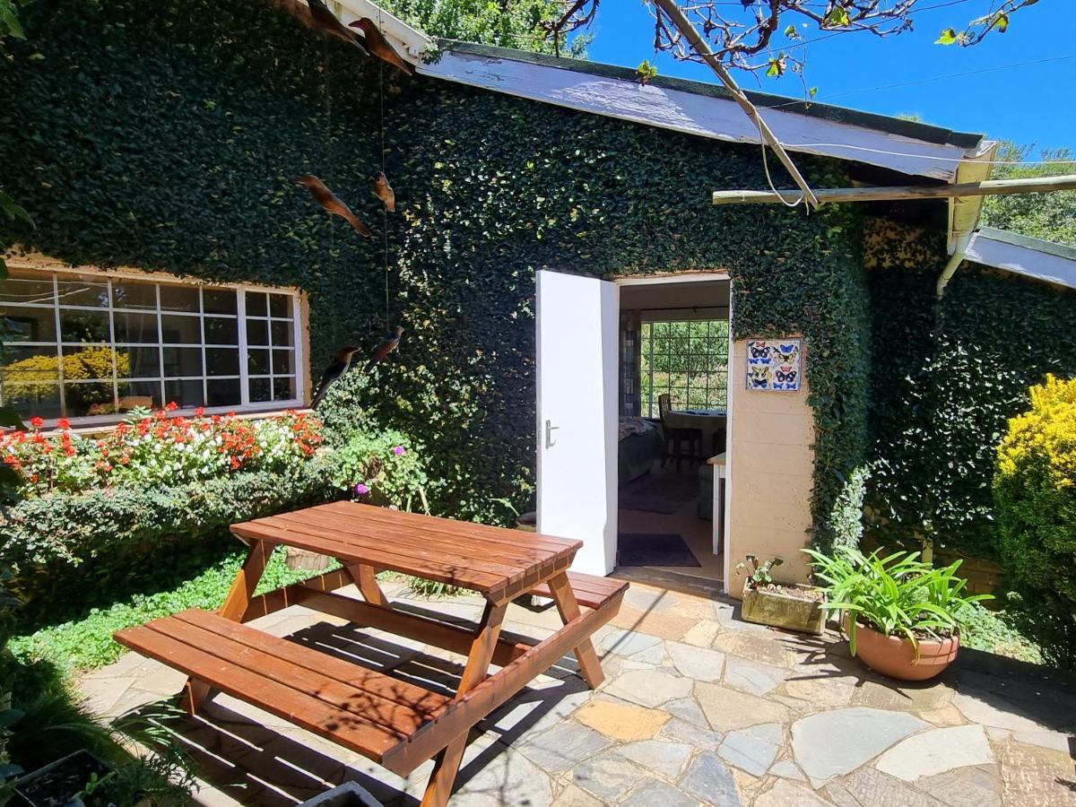 Yellowwood Cottage Himeville Bagian luar foto