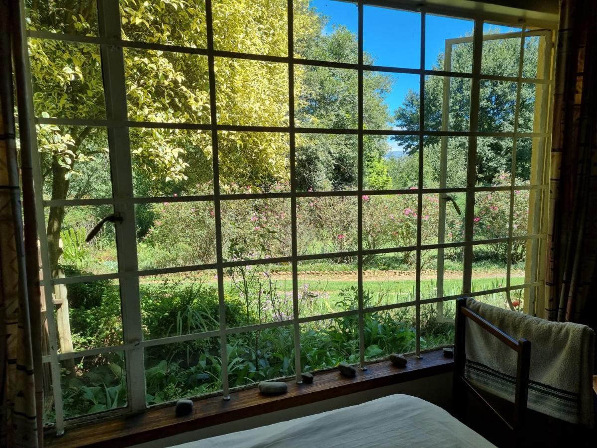 Yellowwood Cottage Himeville Bagian luar foto