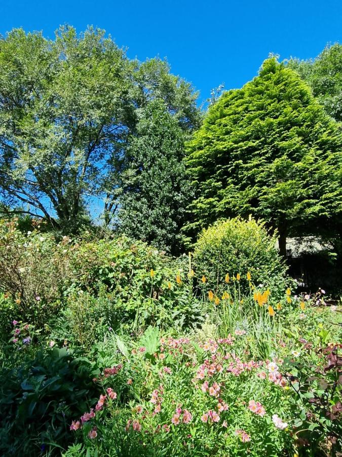 Yellowwood Cottage Himeville Bagian luar foto