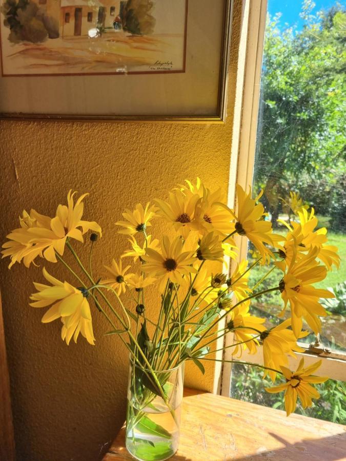 Yellowwood Cottage Himeville Bagian luar foto