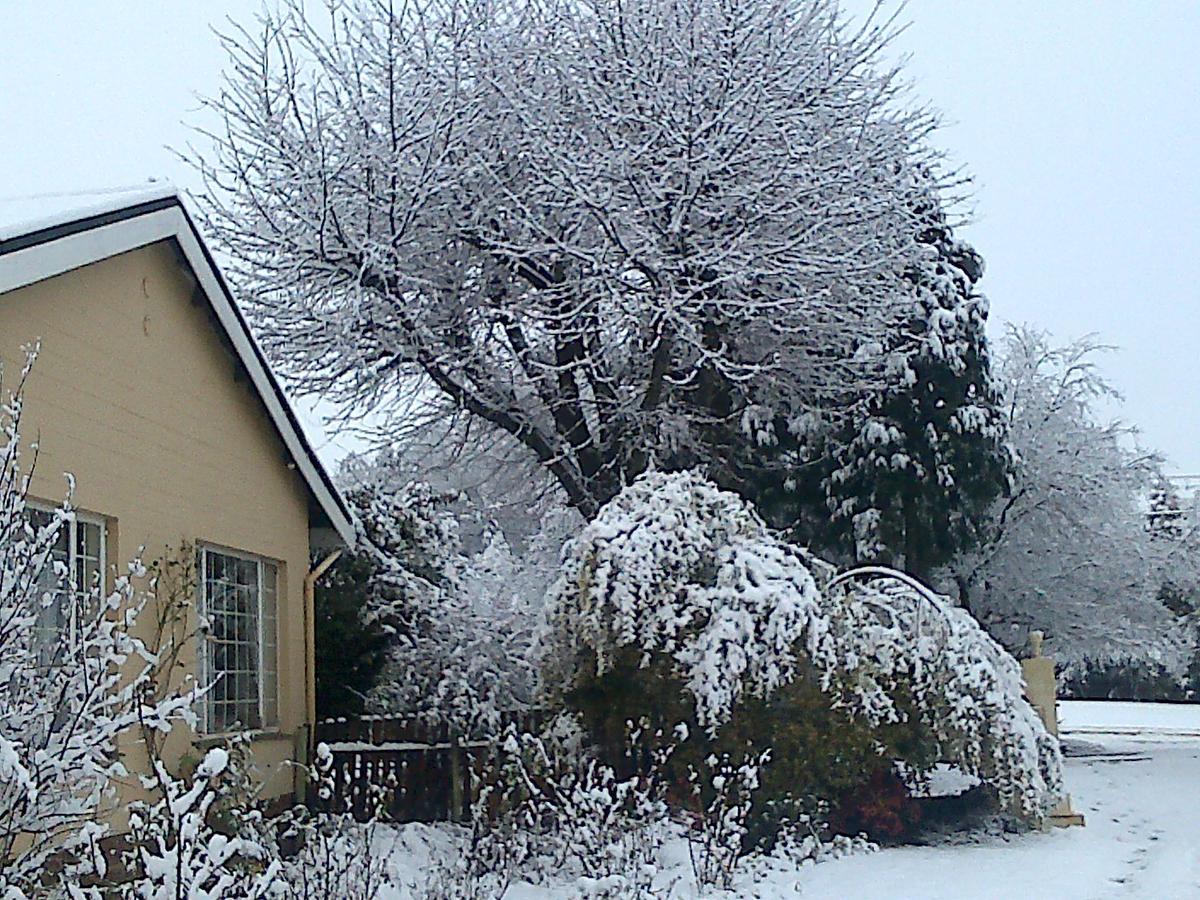 Yellowwood Cottage Himeville Bagian luar foto